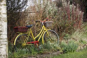 addingham 28 sm.jpg